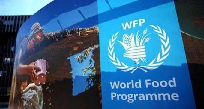 APPLY: UN seeks consultant for WFP Africa programme