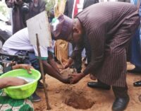 Borno launches tree planting campaign to tackle desertification