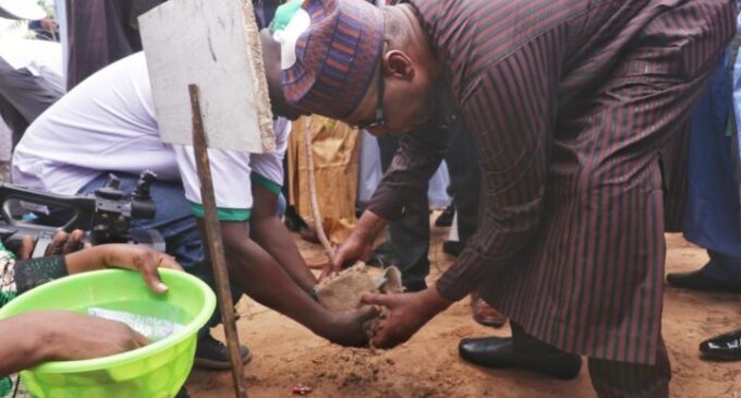 Borno launches tree planting campaign to tackle desertification