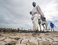UK pledges £49m for climate adaptation projects in Africa 