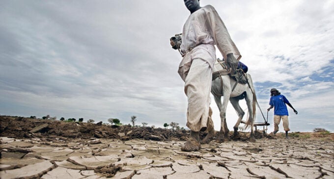 UK pledges £49m for climate adaptation projects in Africa 
