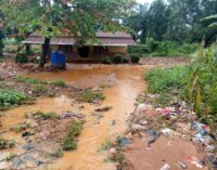 Students lose properties as flood ravages Anambra institute