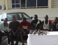 Police: ‘One chance’ kingpin nabbed in FCT | 62 cases of missing male organs reported