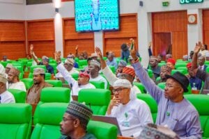 Reps approve 2024-2026 MTEF, maintain new borrowings at N7.8trn