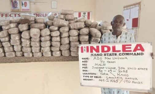 NDLEA: 3.6 tonnes of illicit drugs seized, 241 suspects arrested in Kano