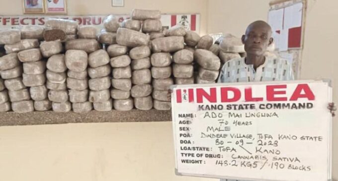 NDLEA: 3.6 tonnes of illicit drugs seized, 241 suspects arrested in Kano