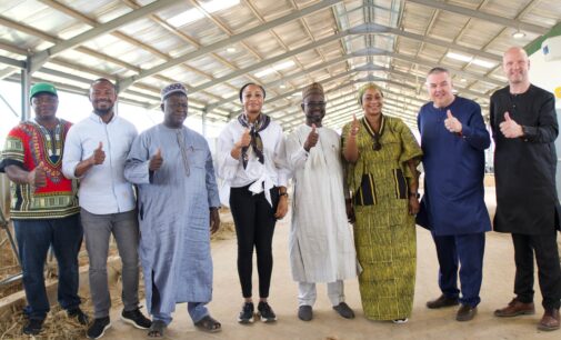 Arla Farm: Kaduna state government lauds Arla Foods on its investment in the local dairy sector