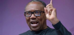 ‘N6bn for national assembly car parks’ — Obi laments FG’s fiscal indiscipline