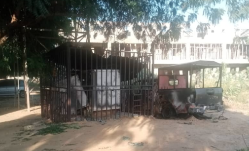 Suspected Boko Haram members attack customs office in Yobe, kill officer
