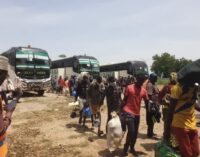 FG repatriates 108 Nigerians stranded in Niger Republic