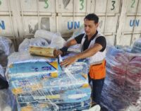 ‘Order starting to break down’ — UN raises the alarm after looting of aid warehouses in Gaza
