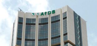 AfDB approves $50m loan to support climate resilience, food security in Yobe