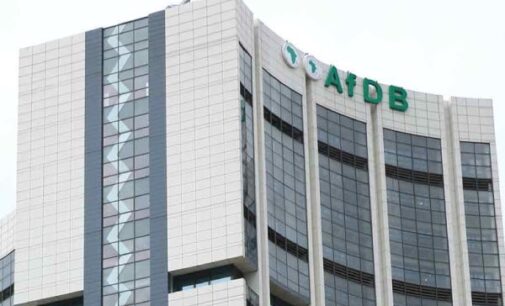 ‘$540m raised’ — AfDB to fund 7 states for agro-industrial processing zones