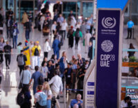 PHOTOS: Delegates arrive as COP28 kicks off in Dubai