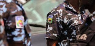 Police arrest ‘kidnapper’, recover pistol in Delta