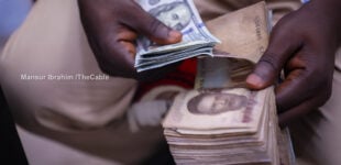 Naira recovers at parallel market, drops by 13.26% in official window