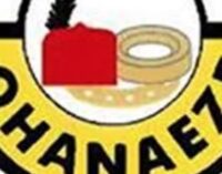 Ohanaeze Ndigbo sets up committee to review group’s constitution