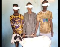 EXTRA: Police arrest three men for ‘stealing sheep’ in Jigawa