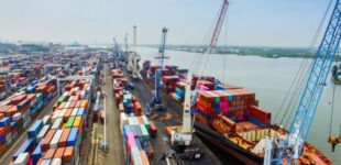 FG targets 24-hour ports clearance as Tinubu inaugurates national single window