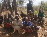 Troops kill ’14’ insurgents, rescue abductees in Kaduna, Niger