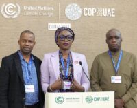 COP28: Youth ministry, African Union Development, partner to empower Nigerians