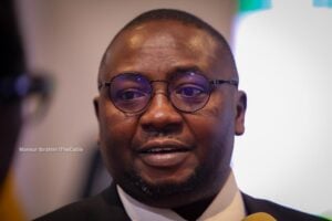 Adelabu: TCN needs N2.7trn to complete 149 projects that will improve electricity supply