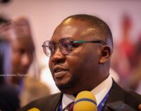EXTRA: Nigerians keep freezers on for days due to low electricity tariff, says Adelabu