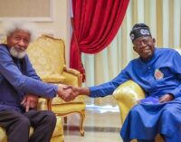 Soyinka meets Tinubu, says he’ll assess his administration after one year in office