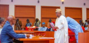 Senate considers bill to modernise ICAN, increase fine for malpractice