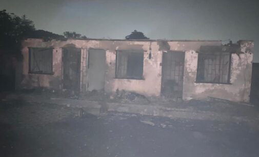 4 cows, 3 goats burnt as fire razes building within national theatre 