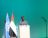 COP28: Environment minister delivers national statement on Tinubu’s behalf