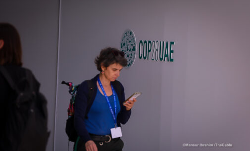 PHOTO STORY: Engrossed in their phones, COP28 delegates captured in colourful moments