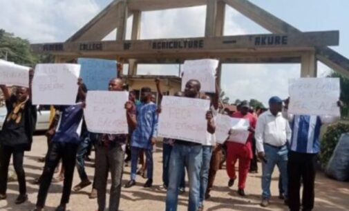 Staff, students of Ondo college protest encroachment by ‘land grabbers’