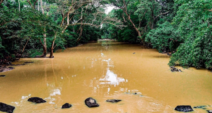 Podcast: Can science heal Nigeria’s sacred Osun river?