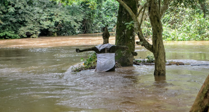 Podcast: Gold mining’s toll on Nigeria’s Osun river