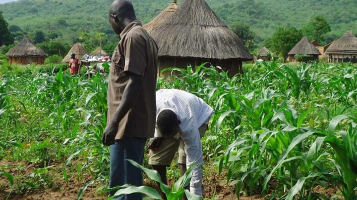 farmers