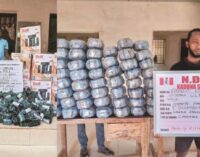 NDLEA seizes illicit drugs concealed in dolls, local soap, milo tins    