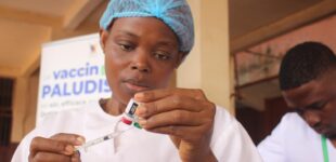 Benin, Liberia, Sierra Leone launch rollout of malaria vaccine