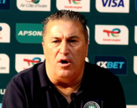 Peseiro: Eagles don’t need change of tactics… we’ve created most chances at AFCON