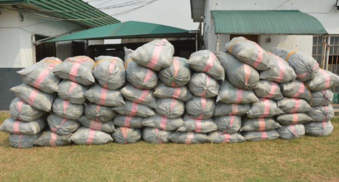 Customs intercepts over 4000 parcels of Indian hemp in Lagos