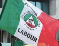 TUC on minimum wage: FG has violated our agreements… our hope yet to be renewed