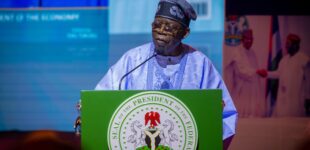 President Tinubu: A year of healing and unifying Nigeria