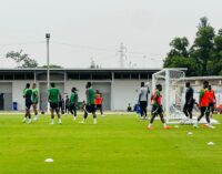 POST-MORTEM: 5 Peseiro blunders in Super Eagles’ draw with Equatorial Guinea