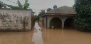 Climate Watch: NEMA partners Ondo, Gombe on flood mitigation