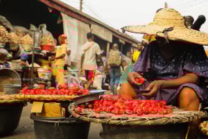 Agora Policy, a government think tank, says addressing food inflation will take more than emergency interventions and monetary policies. 