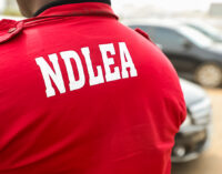 NDLEA arrests ‘port workers’ for importing illicit drugs, arms from South Africa to Lagos