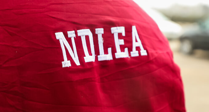 NDLEA seizes 4.7 tonnes of illicit drugs in Kano, arrests 319 suspects
