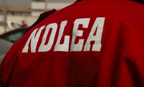 NDLEA arrests India-bound passenger who ‘vomited 80 wraps of cocaine’