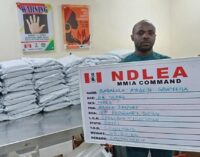 NDLEA intercepts 60 bags of cannabis concealed in sound speakers at Lagos airport