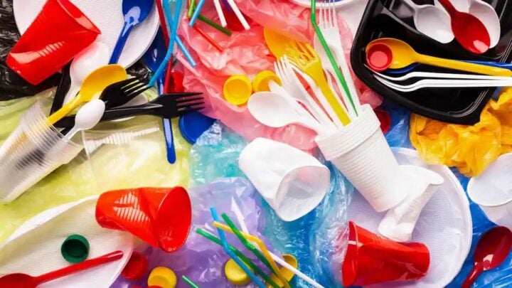 Single-use plastics
